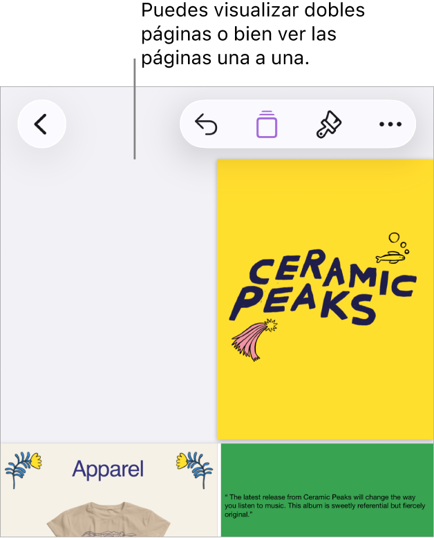 Un documento con sus páginas organizadas con formato de dobles páginas.