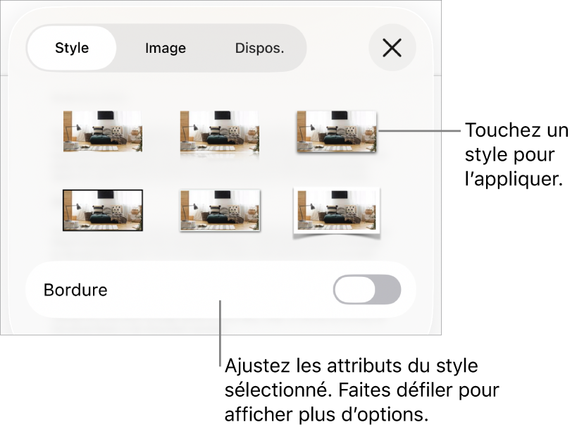 Le Style du menu Format avec les styles d’objet en haut et une commande au-dessous pour modifier la bordure.
