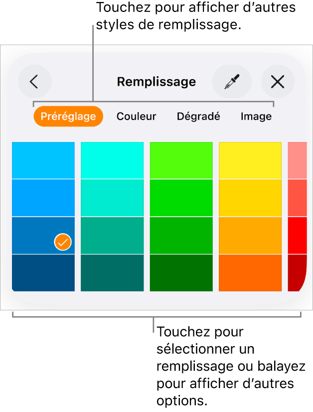Options de remplissage de l’onglet Style du bouton Format.