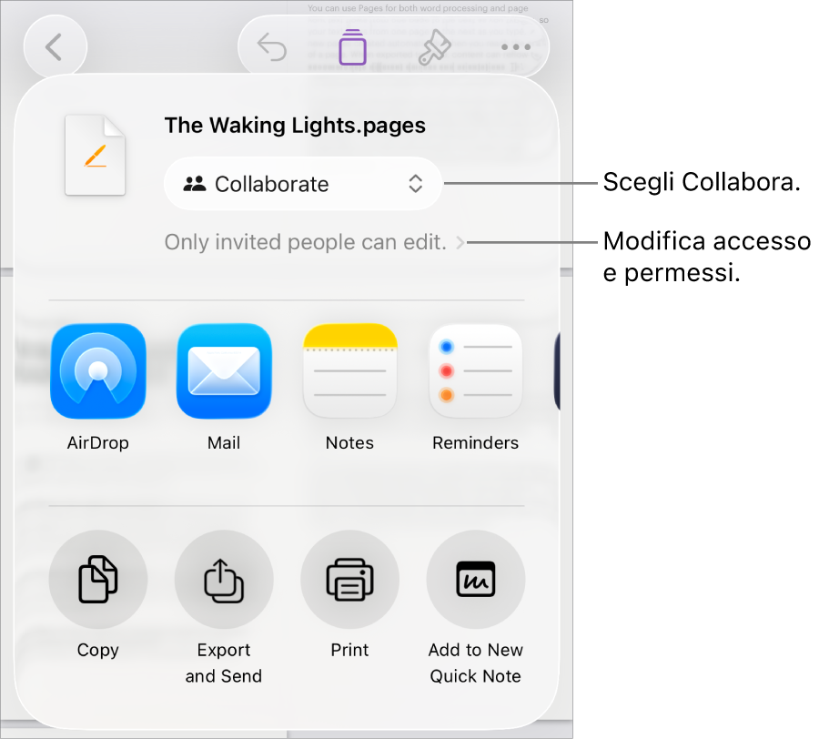 Il menu di condivisone con l’opzione Collabora selezionata in alto e le impostazioni di accesso e dei permessi sotto.