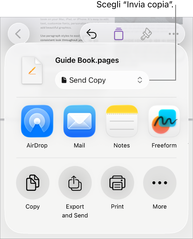 Il menu Condividi con l’opzione “Invia copia” selezionata in alto.