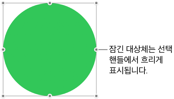 흐리게 표시된 선택 영역 핸들이 있는 잠겨 있는 대상체.