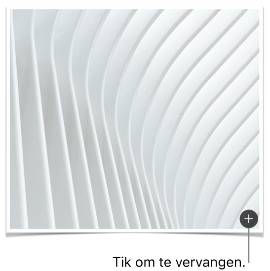 Een afbeelding met de knop 'Vervang afbeelding'.