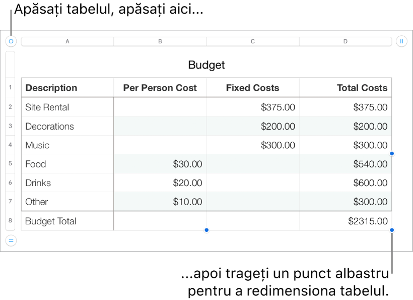 Un tabel selectat, cu puncte albastre pentru redimensionare.