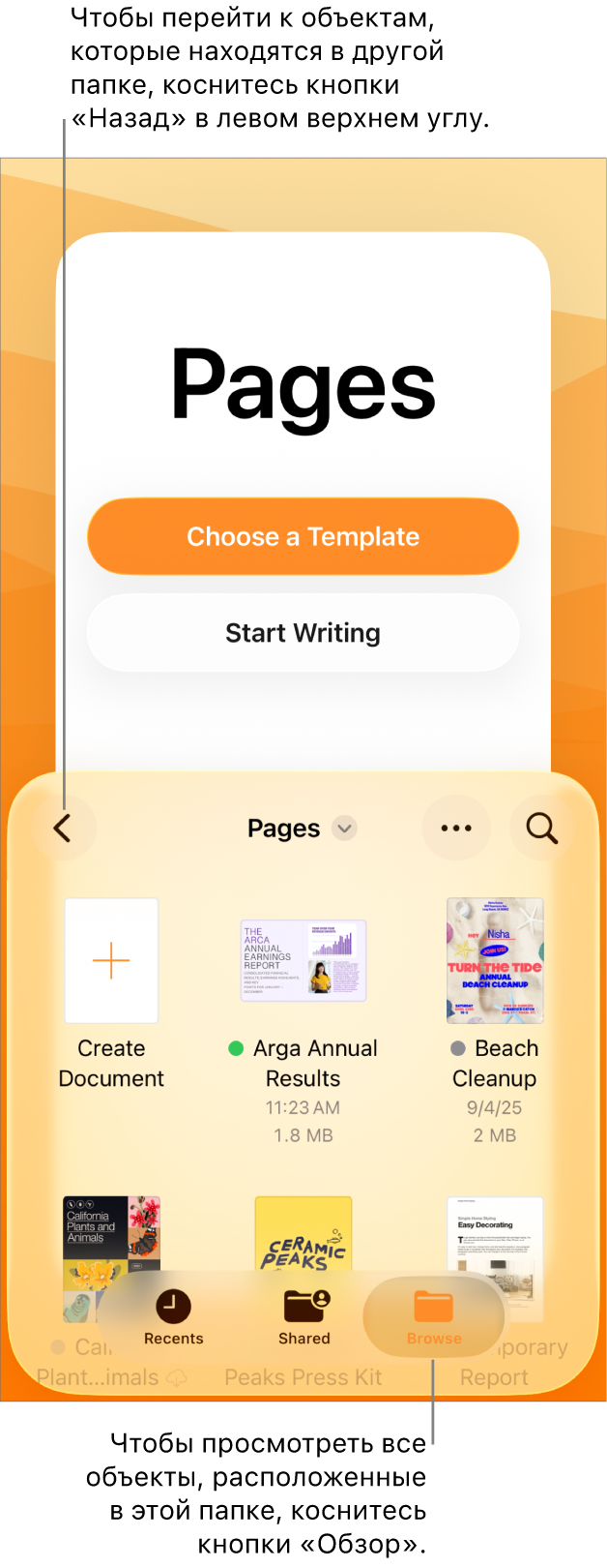 Режим просмотра в менеджере документов. В левом верхнем углу отображается кнопка «Назад», под ней находится поле поиска. Под полем поиска отображаются кнопка «Создать документ» и миниатюры существующих документов. В правом верхнем углу расположены кнопки «Недавние», «В общем доступе» и «Обзор».