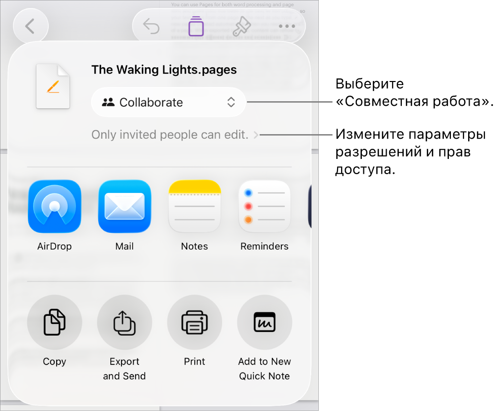 В верхней части экрана отображается меню «Поделиться». Выбран параметр «Совместная работа», под ним находятся настройки прав доступа.