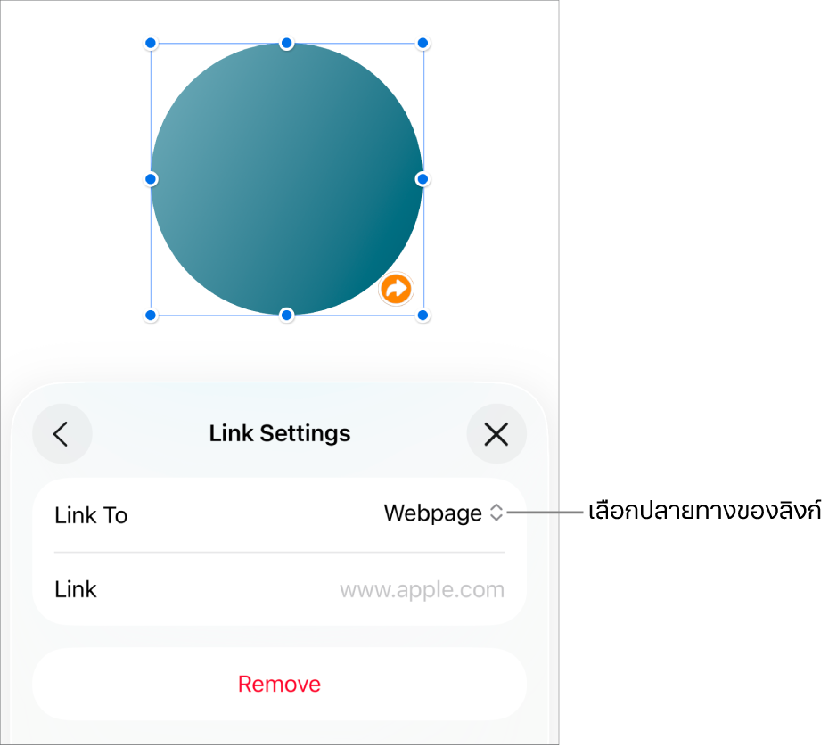ตัวควบคุมการตั้งค่าลิงก์ที่มีหน้าเว็บถูกเลือกอยู่ และปุ่มเอาออกที่ด้านล่างสุด
