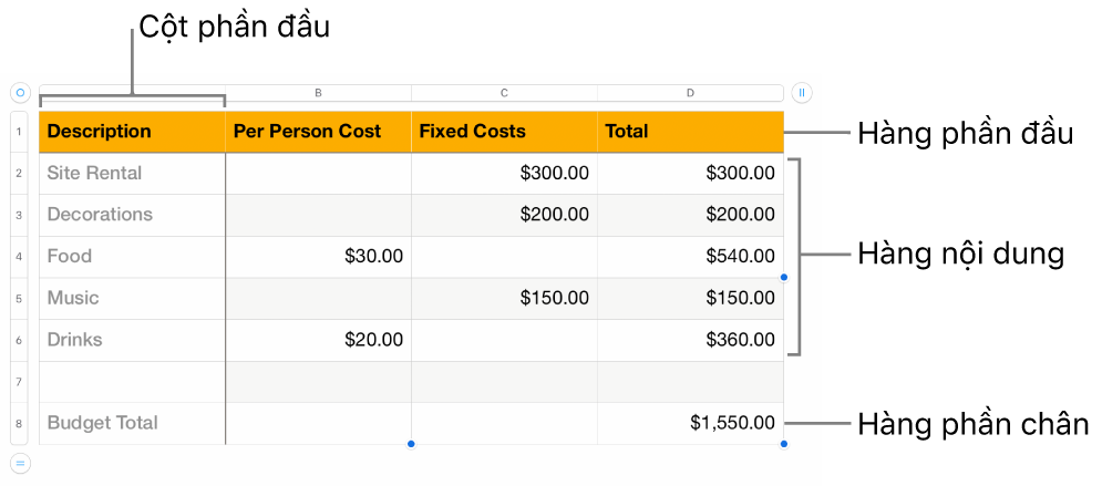 Bảng hiển thị các hàng và cột phần đầu, phần thân và phần chân.