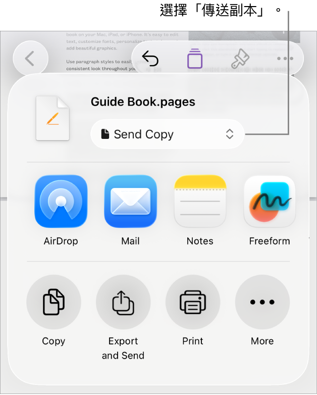 共享選單最上方的「傳送副本」已被選取。