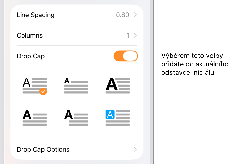 Ovládací prvky pro volbu Iniciála v nabídce Text