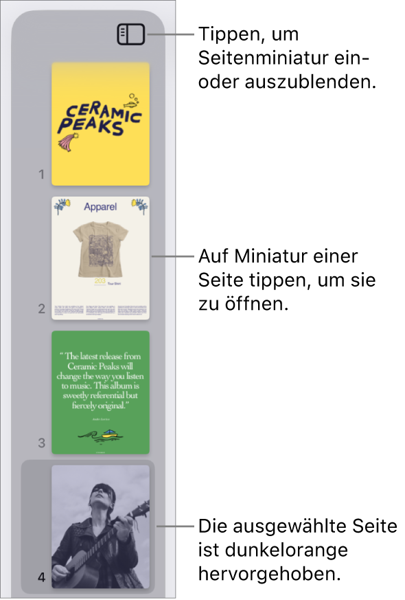 Die Miniaturdarstellung der Seiten links auf dem Bildschirm mit einer einzelnen ausgewählten Seite. Die Taste „Darstellungsoptionen“ über den Miniaturen.