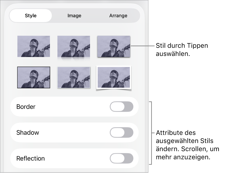 Der Tab „Stil“ des Menüs „Format“ mit Objektstilen oben und Steuerelementen zum Ändern des Rahmens, des Schattens, der Reflexion und der Deckkraft darunter.