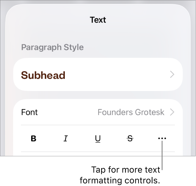 The Text tab of the Format controls, with a callout to the More Text Options button.