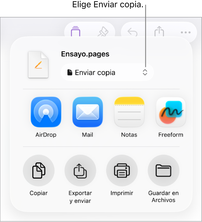 El menú Compartir con la opción Enviar copia seleccionada en la parte superior.