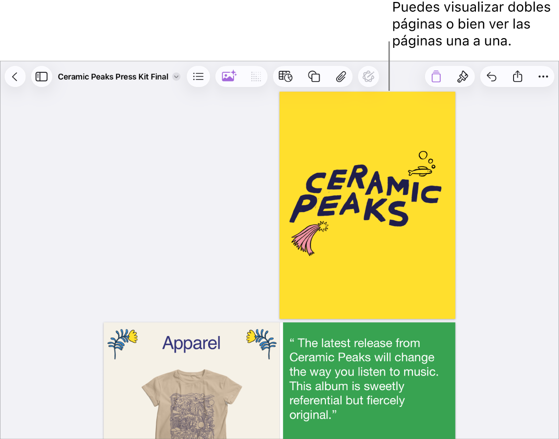 Un documento con sus páginas organizadas con formato de dobles páginas.