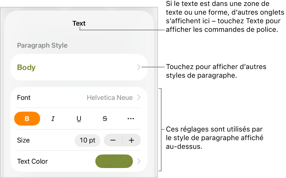Menu Format avec commandes de texte permettant de définir les styles, la police, la taille et la couleur des paragraphes et des caractères.