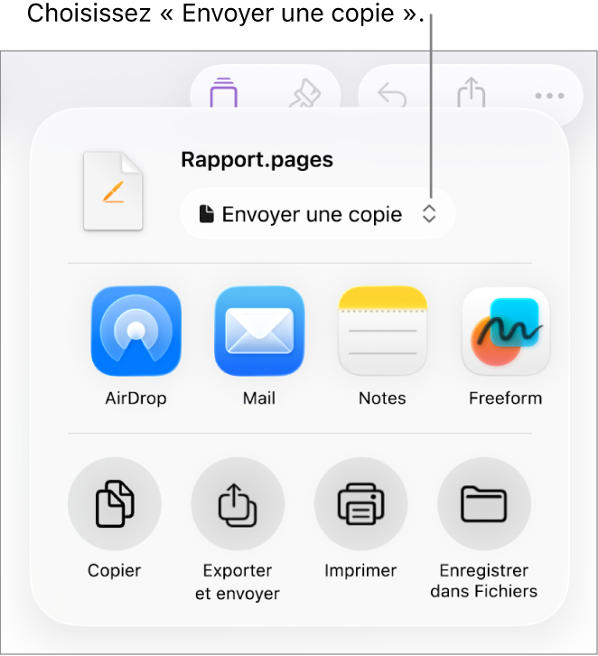 Le menu Partager avec l’option Envoyer une copie sélectionnée en haut.