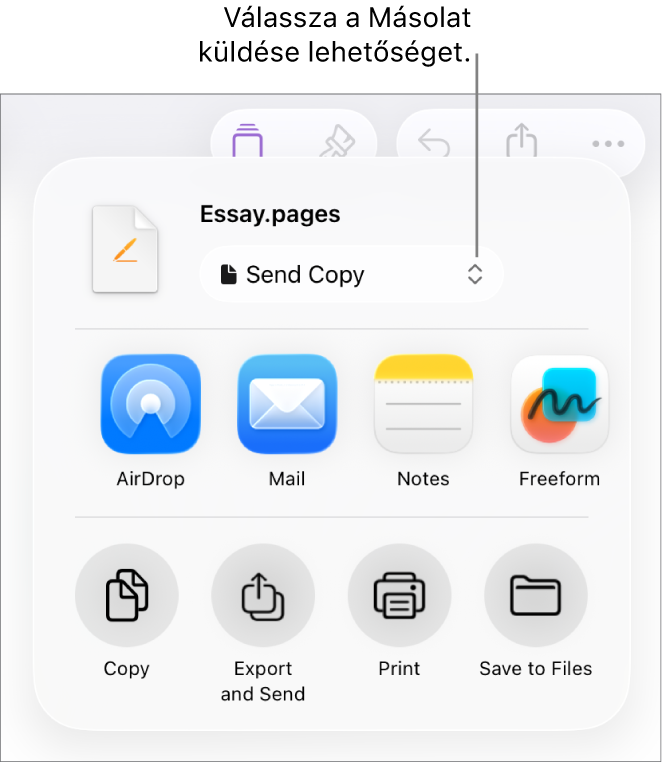 A Megosztás menü a felül elhelyezkedő Másolat küldése lehetőséggel.