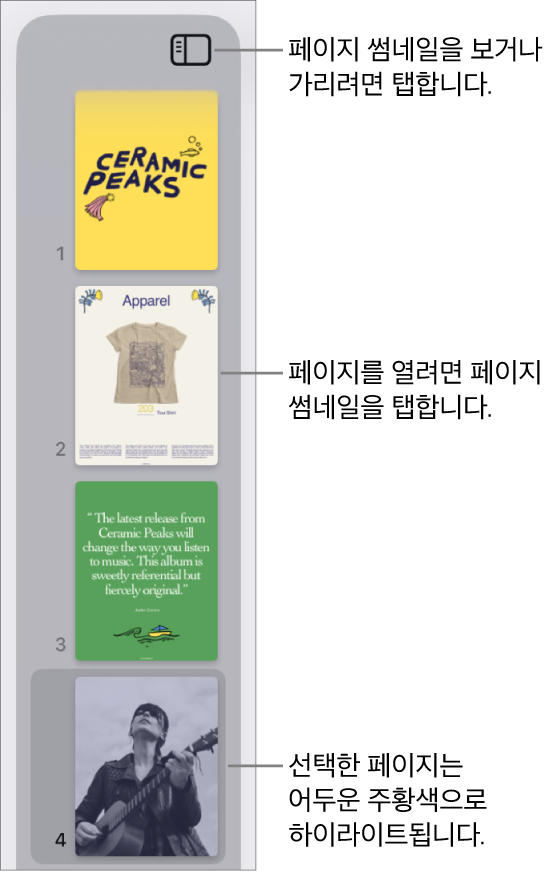 하나의 페이지가 선택된 화면 왼쪽 측면에 있는 페이지 썸네일 보기. 썸네일 위에 있는 보기 옵션 버튼.
