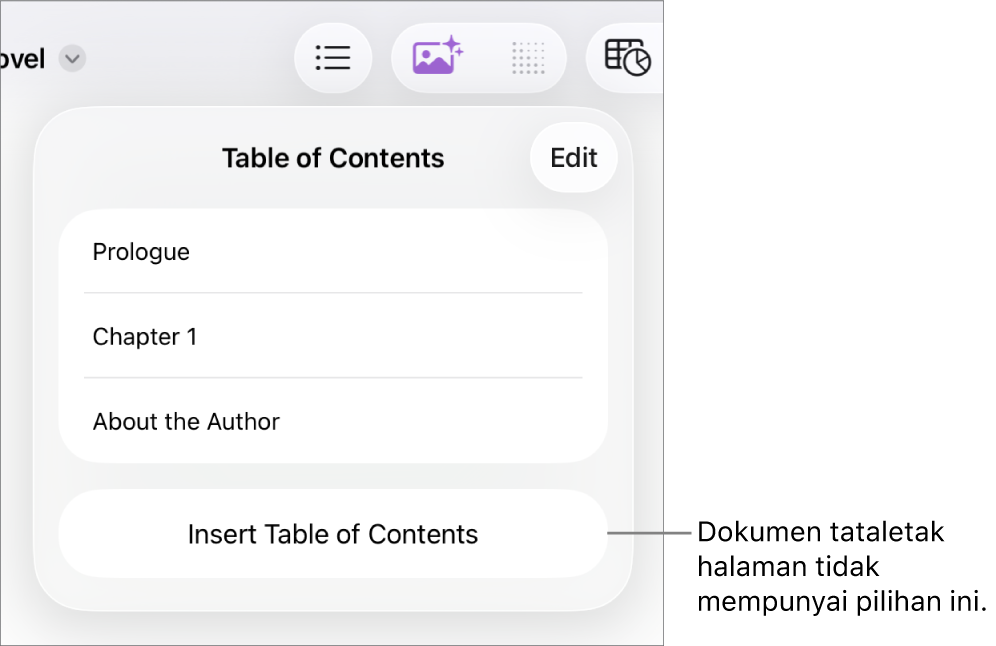 Paparan senarai kandungan dengan Edit di penjuru kanan atas, entri TOC dan butang Masukkan Senarai Kandungan di bahagian bawah.