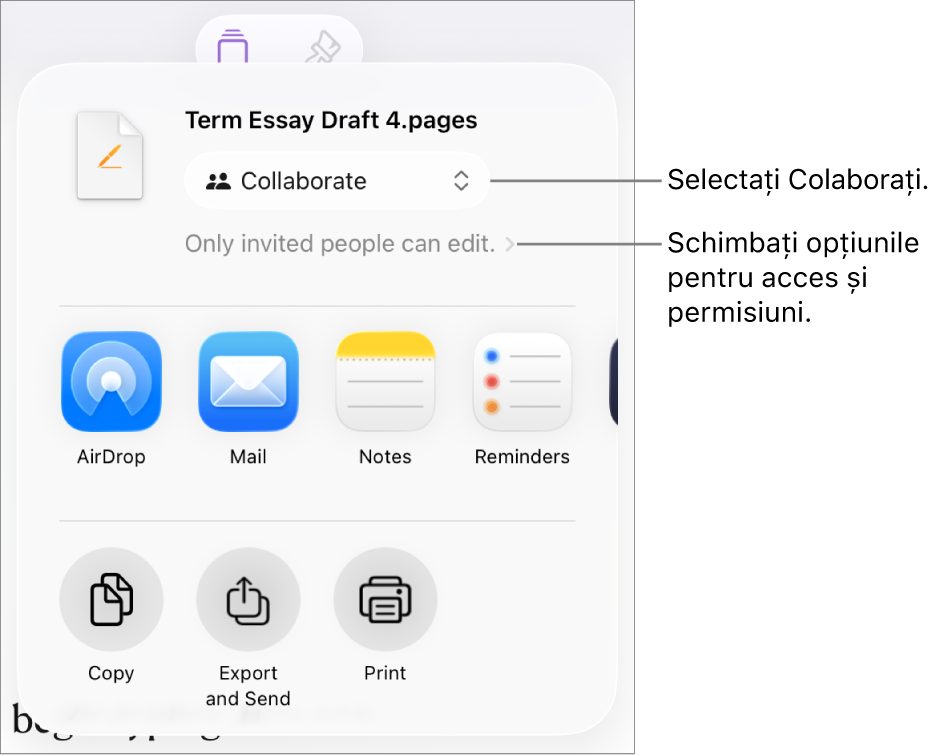 Meniul Partajați, cu opțiunea Colaborați selectată în partea de sus și configurările de acces și permisiune dedesubt.