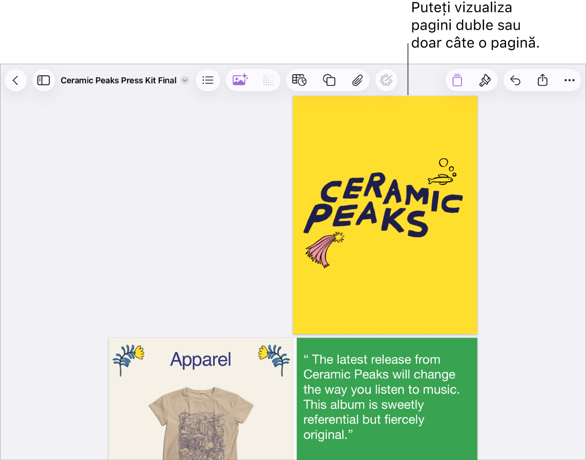 Un document cu paginile afișate ca pagini duble.