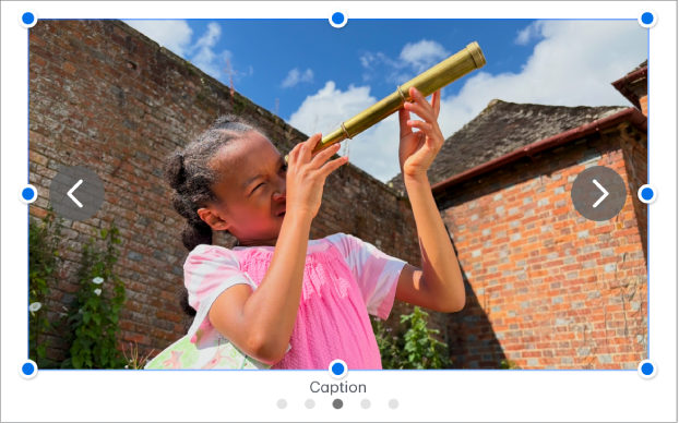 Объект галереи изображений, содержащий четыре изображения; под объектом располагается подпись, а с правой и левой сторон — стрелки для навигации.