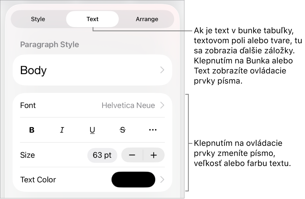Ovládacie prvky textu v menu Formát pre nastavenie štýlov, písma, veľkosti a farby odsekov a znakov.