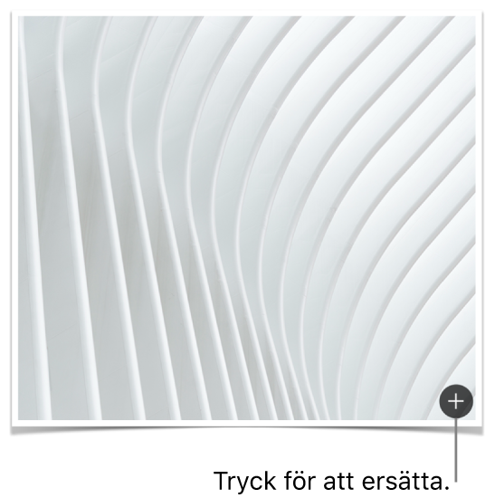 En bild med en knapp för att ersätta bild.