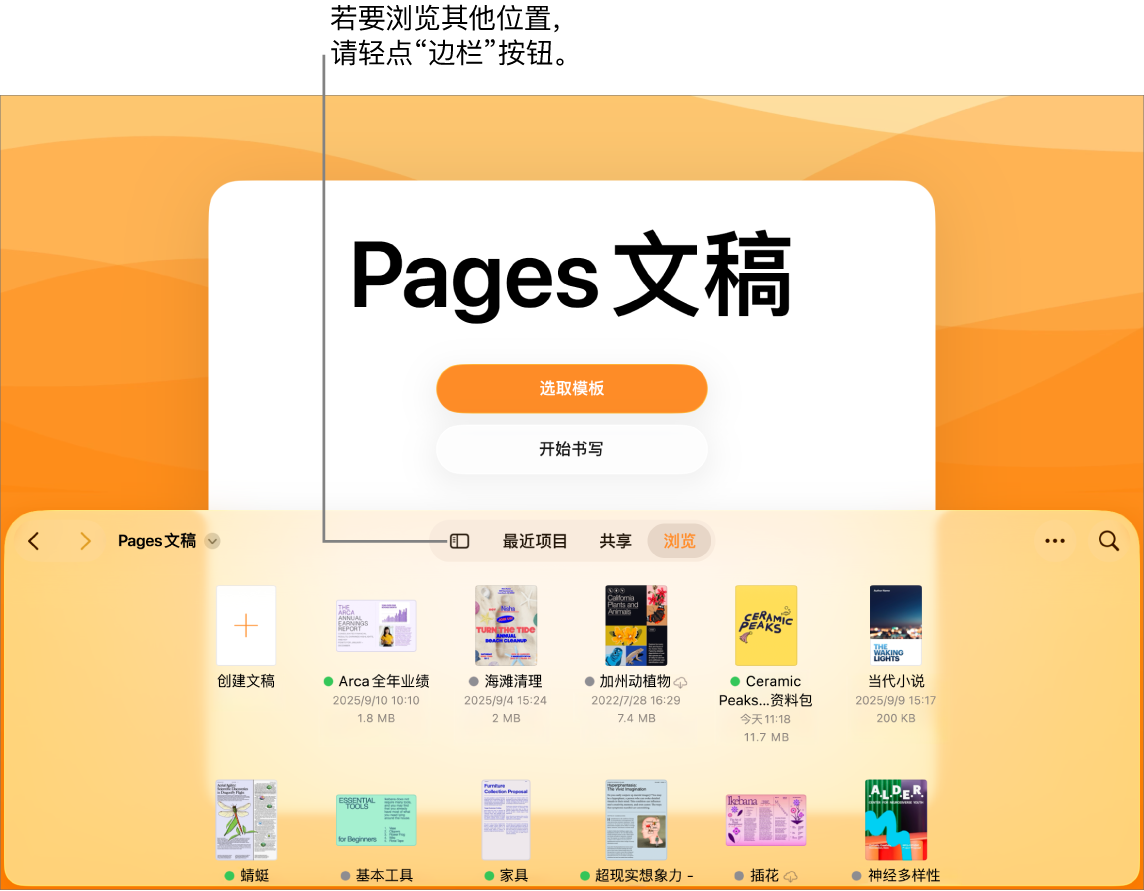 文稿管理器的浏览视图,“边栏”按钮位于左上角。右上方是“添加”按钮、“新建文件夹”按钮、“图标”按钮(按照名称、日期、大小或标记来排序)、“选择”按钮以及“搜索”按钮。这些按钮下方是现有文稿的缩略图。