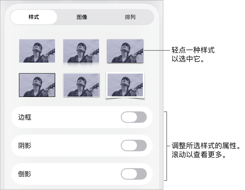 “格式”菜单中的“样式”标签，顶部为对象样式，样式下方为更改边框、阴影、倒影和不透明度的控制。