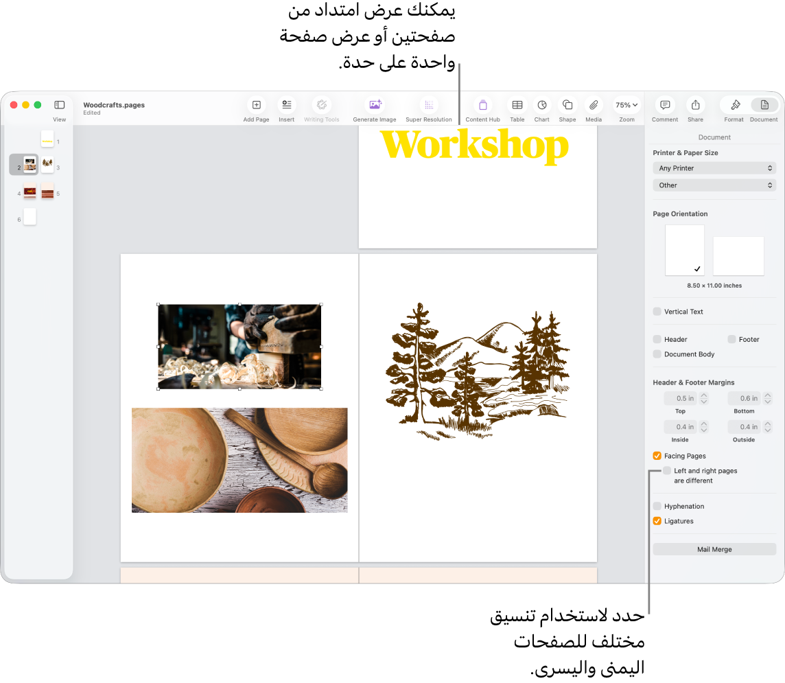 نافذة Pages وتظهر بها الصور المصغرة للصفحة وصفحات المستند معروضة كمجموعة امتداد من صفحتين. في الشريط الجانبي "المستند" على الجانب الأيسر، خانة الاختيار "الصفحة اليمنى مختلفة عن اليسرى" غير محددة.