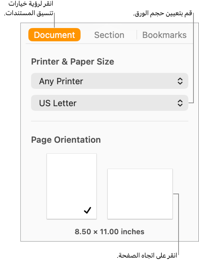 الشريط الجانبي المستند وتظهر علامة التبويب المستند في أعلى الشريط الجانبي محددة. توجد في الشريط الجانبي قائمة منبثقة لتعيين حجم الورق وأزرار لاتجاه الصفحة الرأسي والأفقي.