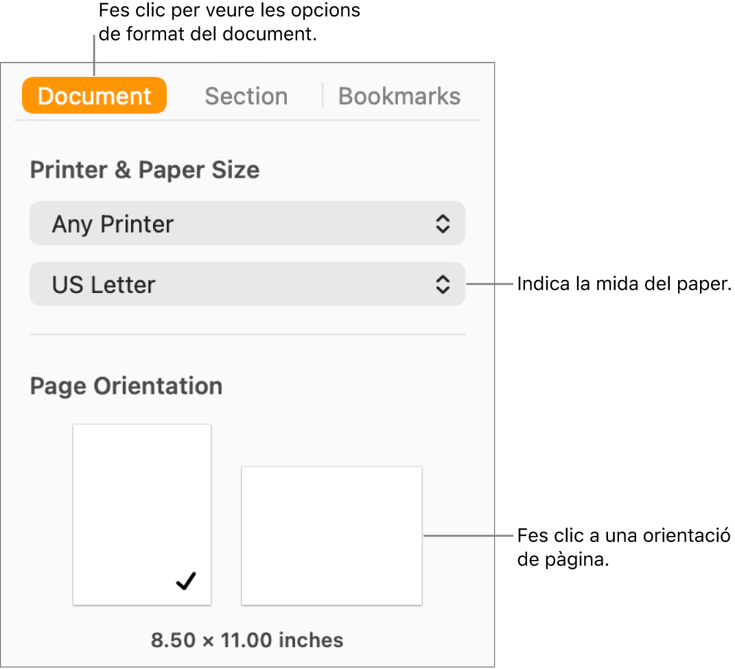 La barra lateral Document amb la pestanya Document a la part superior de la barra lateral seleccionada. A la barra lateral hi ha un menú desplegable per definir la mida del paper i botons per a l’orientació horitzontal i vertical de la pàgina.