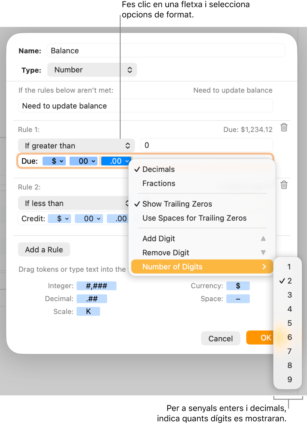 La finestra de format de cel·la personalitzat, amb controls per seleccionar les opcions de format personalitzat.