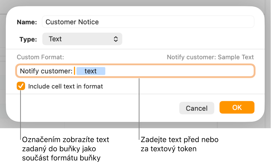 Okno vlastního formátu buněk s ovládacími prvky pro výběr vlastního formátu textu