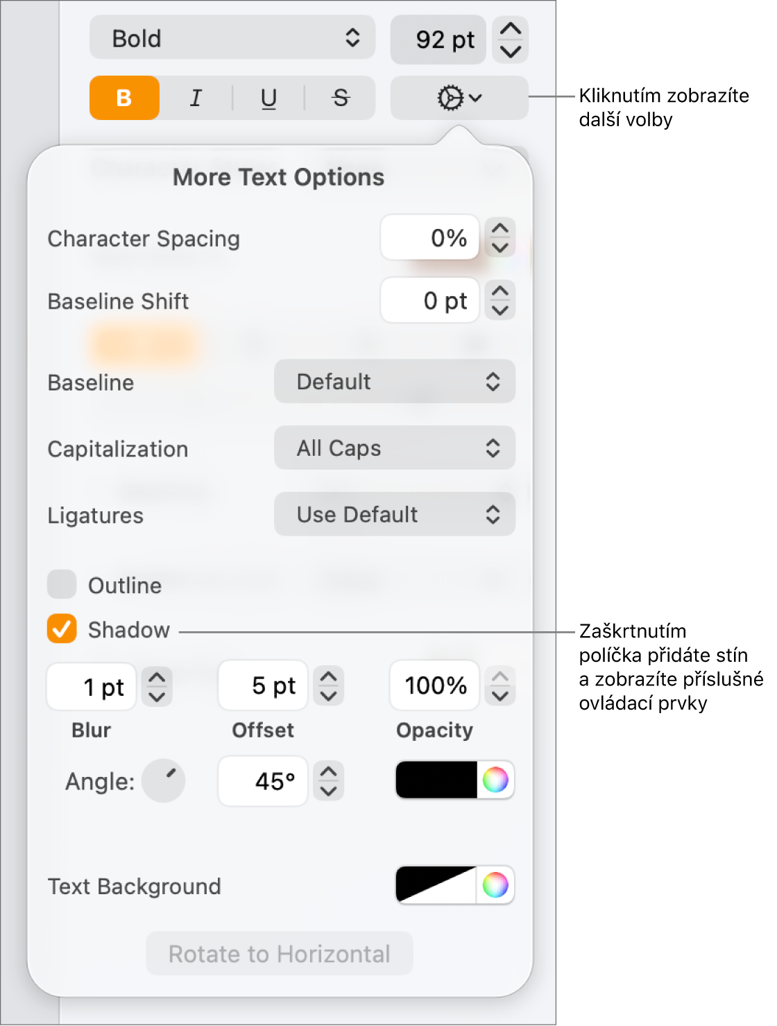 Otevřená nabídka Pokročilé volby se zaškrtnutým políčkem Stíny a ovládacími prvky pro nastavení rozostření, posunutí, neprůhlednosti a barev