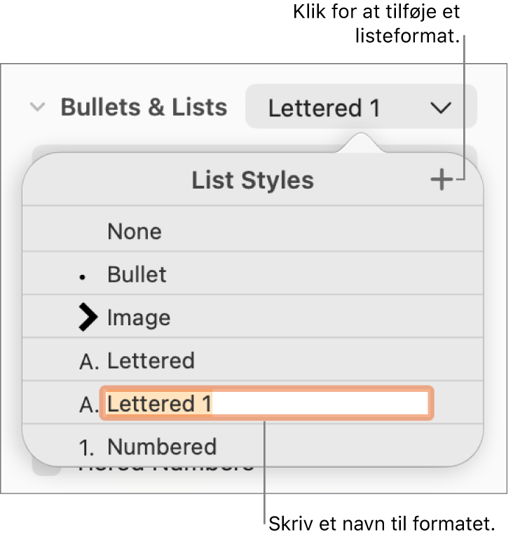 Lokalmenuen Listeformater med knappen Tilføj i øverste højre hjørne og et eksempel på et formatnavn med teksten valgt.