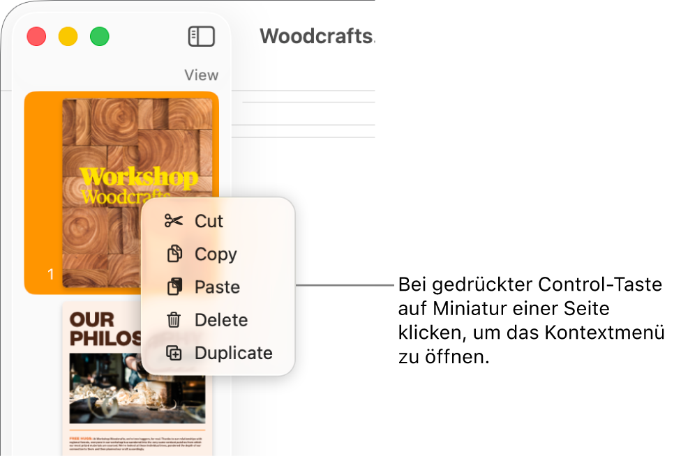 Miniaturdarstellung der Seiten mit einer ausgewählten Miniatur und dem geöffneten Kontextmenü