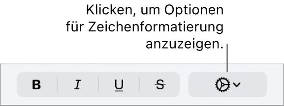 Das Einblendmenü „Erweiterte Optionen“ rechts neben den Tasten „Fett“, „Kursiv“, „Unterstrichen“ und „Durchgestrichen“