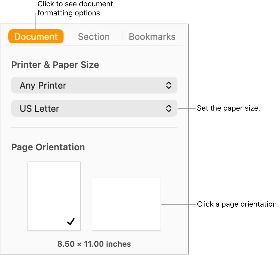 The Document sidebar with the Document tab at the top of the sidebar selected. In the sidebar are a pop-up menu to set paper size and buttons for portrait and landscape page orientation.