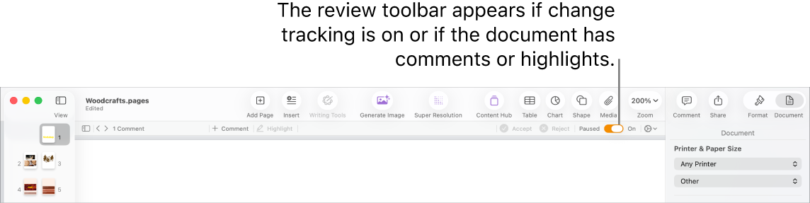The Pages toolbar with change tracking turned on and the review toolbar below the Pages toolbar.