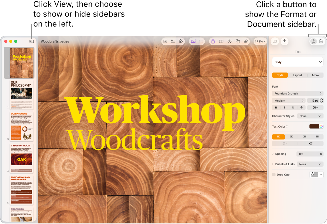 The Pages window with a call out to the View menu button and Format and Document buttons in the toolbar. Sidebars are open on the left and right.