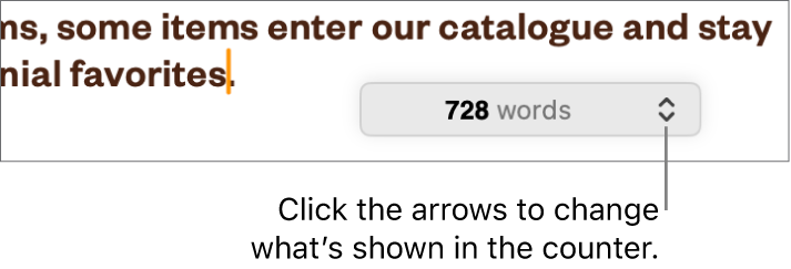 The word count menu showing the number of words in the document.