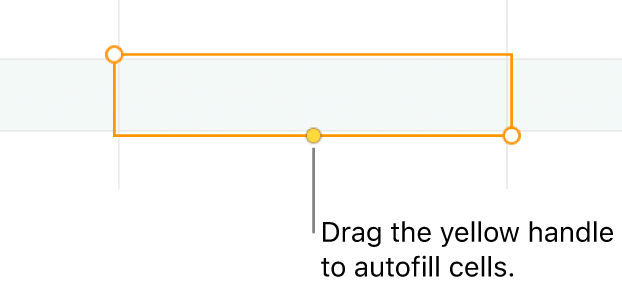 A selected cell with a yellow handle you can drag to autofill cells.