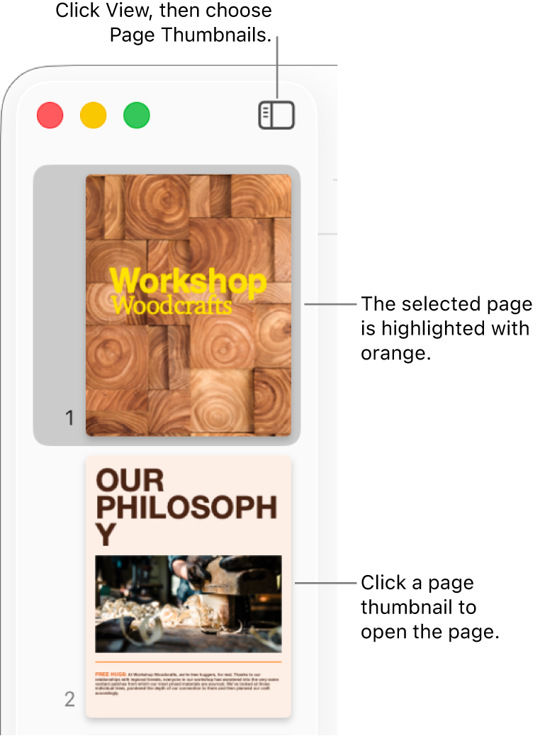 The sidebar on the left side of the Pages window with Page Thumbnails view open and a selected page highlighted in dark orange.
