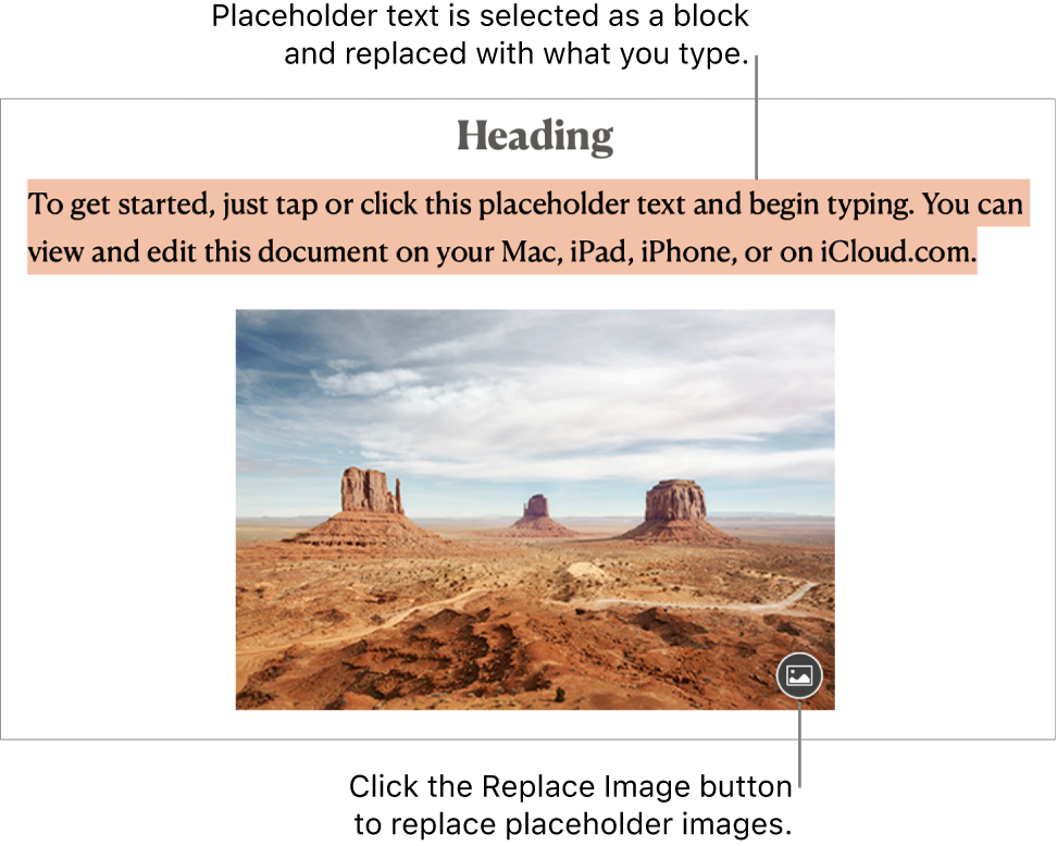 Placeholder text and images.