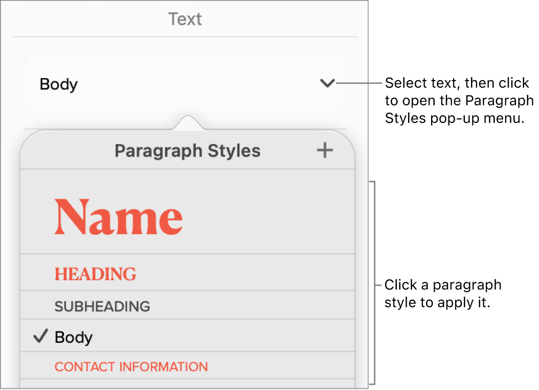 The Paragraph Styles menu.