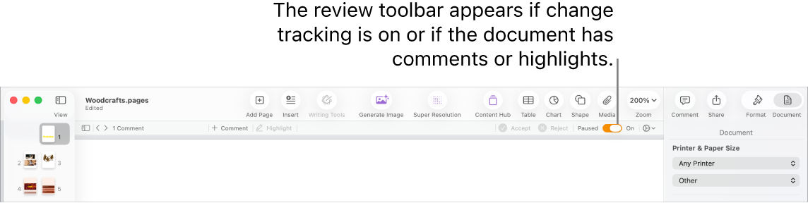 The Pages toolbar with change tracking turned on and the review toolbar below the Pages toolbar.