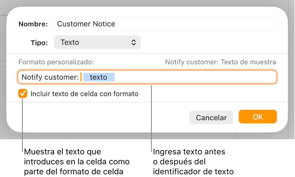 La ventana de formato de celda personalizado con controles para seleccionar formatos de texto personalizados.